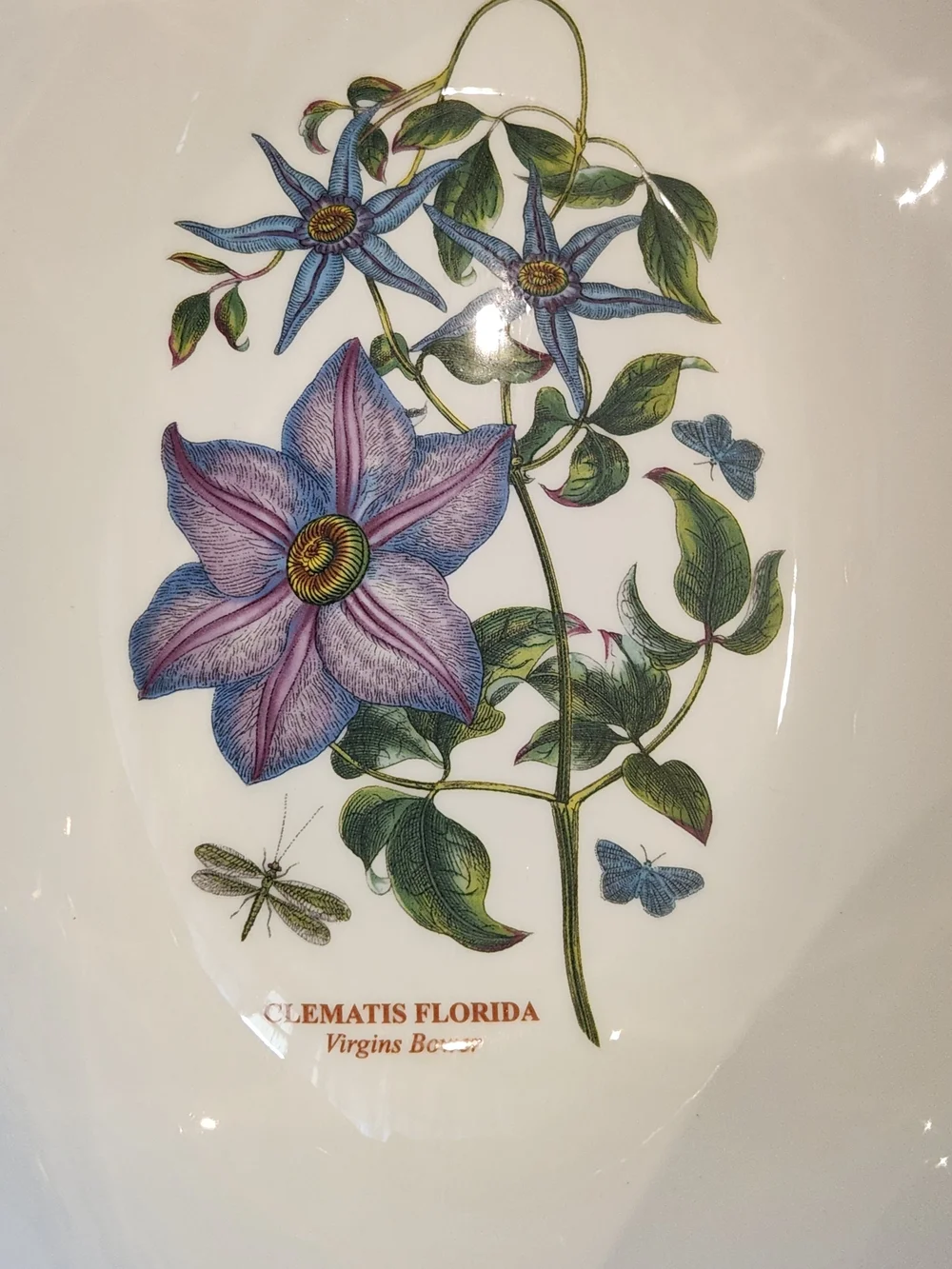 Portmeirion Botanic Garden Clematis Florida Oval 4pt / 2.3L Casserole w Lid NIB